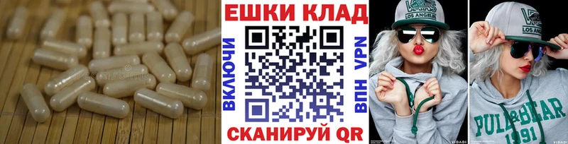 Ecstasy ешки Йошкар-Ола