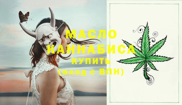 гашик Верея