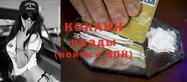 гашик Верея