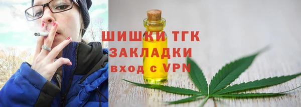 mix Верхний Тагил