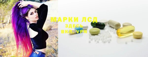 гашик Верея