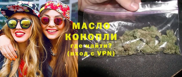 гашик Верея